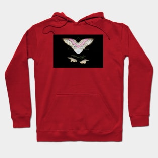 With wings and branch Hoodie